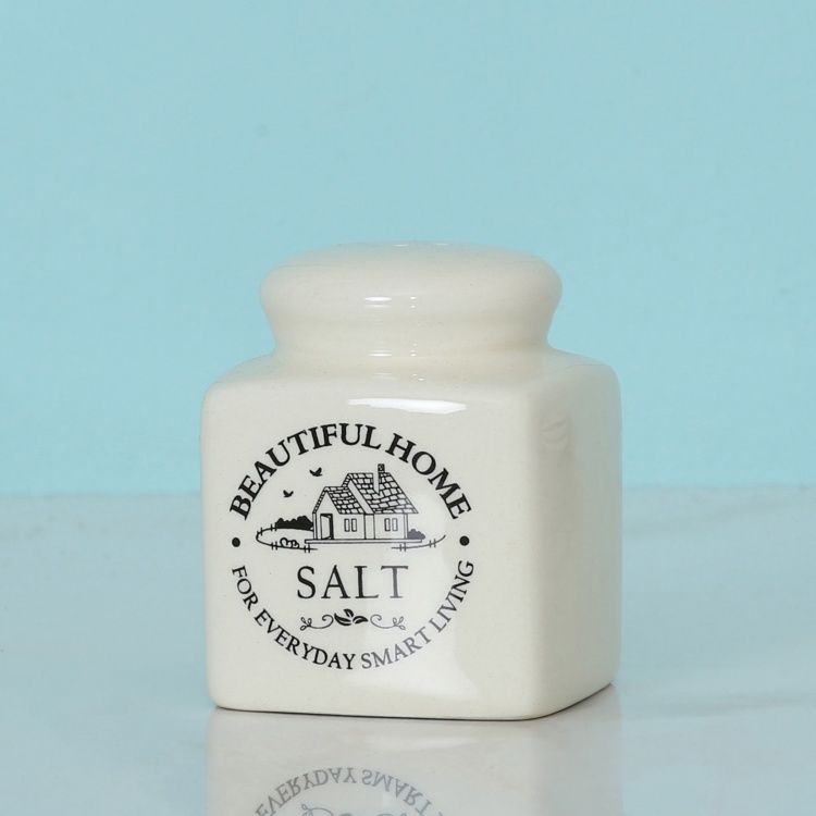 Beautiful Home Printed Salt and Pepper  - Ceramic -  Salt Shaker - 6cm L x 6cm W x 7cm H - Beige