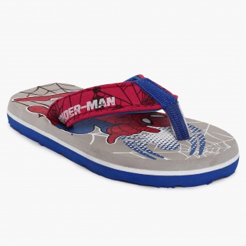 BIOWORLD Spiderman Print Slippers