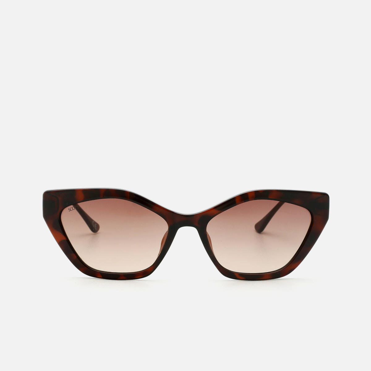 SCOTT Women UV-Protected Cat Eye Sunglasses- SC2485CAREYC2S